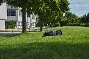 img (42).webp