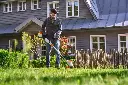 img (46).webp