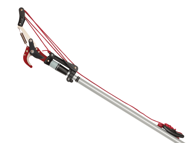 Telescopic Tree Pruner 3m