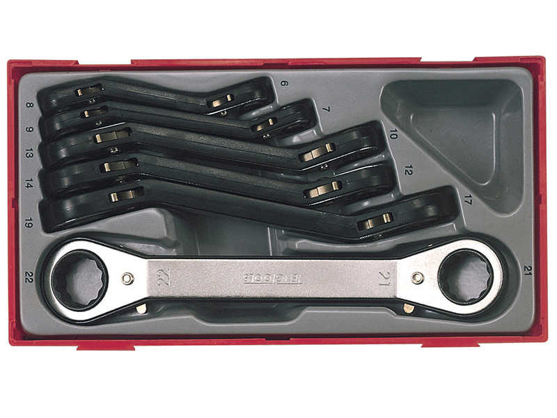 TTRORS Metric Ratchet Ring Spanner Set, 6 Piece