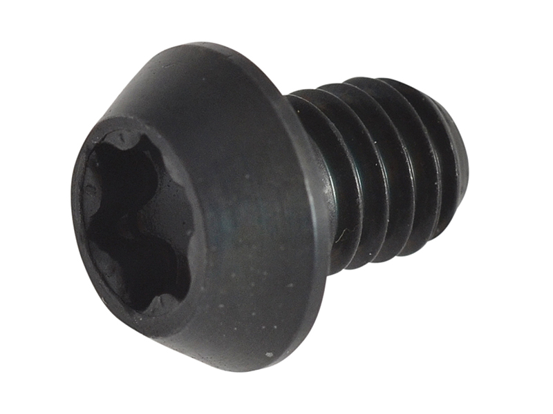 RT/3.5 TORX Replacement Screws