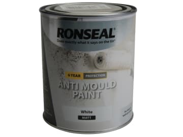 [RSLAMPWM25L] 6 Year Anti Mould Paint White Matt 2.5 litre