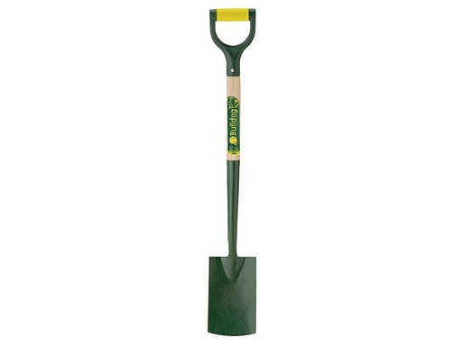 [BUL7102] Evergreen Border Spade PD